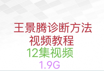 王景腾诊断法男女私密诊断与应用视频教程-百度网盘下载-中医教程博客