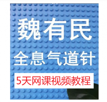 魏友民魏氏全息气道针培训班5天视频教程-百度网盘下载-中医教程博客