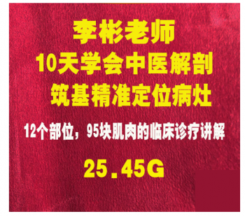 李彬10天学会中医解剖筑基精准定位病灶视频教程【百度网盘下载】-中医教程博客
