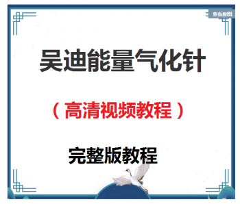 吴迪能量气化针中医针灸高清视频教程【百度网盘下载】-中医教程博客