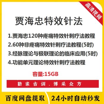 贾海忠特效针刺疗法系列讲座视频教程全集【百度网盘下载】-中医教程博客