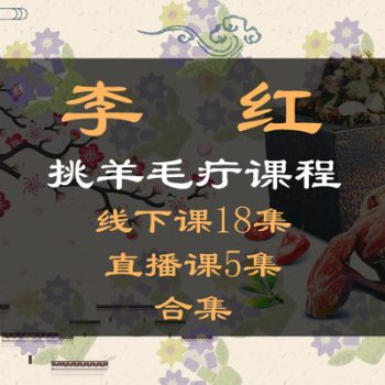 李红挑羊毛疔课程线下课加直播课讲解及实操视频教程-百度网盘下载-中医教程博客