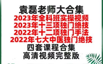 袁磊全科班四套课程新课合集高清视频教程-百度网盘下载-中医教程博客